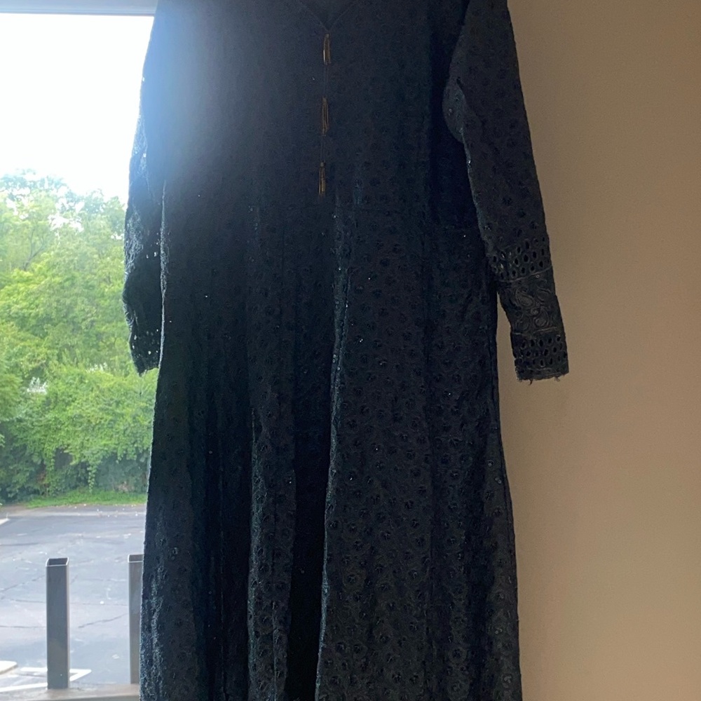 Elegant Pakistani Dress